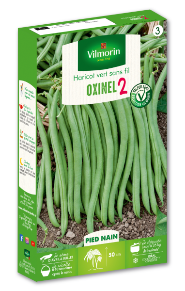 Légumes Secs - Haricot Nain Vert Oxinel 2 - PACKAGING_3D_RECTO